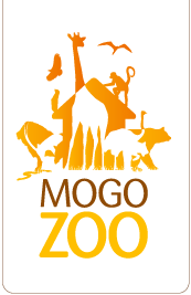 Mogo Zoo - Holiday Byron Bay